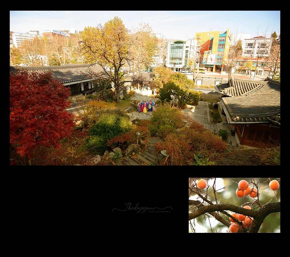 고희연 촬영_0012.jpg